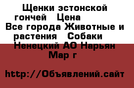 Щенки эстонской гончей › Цена ­ 7 000 - Все города Животные и растения » Собаки   . Ненецкий АО,Нарьян-Мар г.